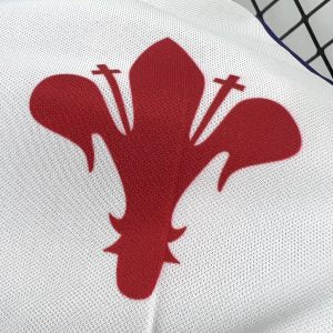 Retro Fiorentina 1998/99 Home Jersey