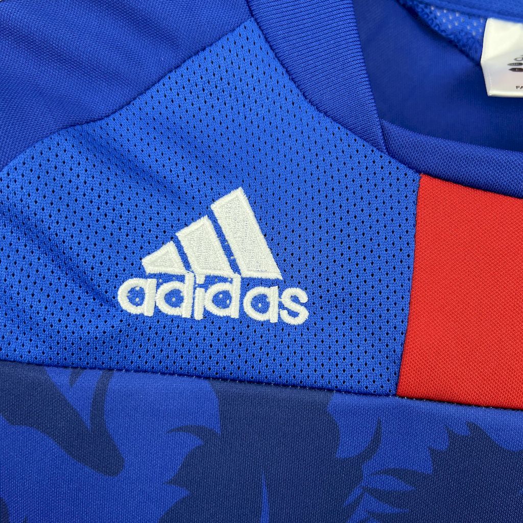 Retro Japón 2010 Home Jersey