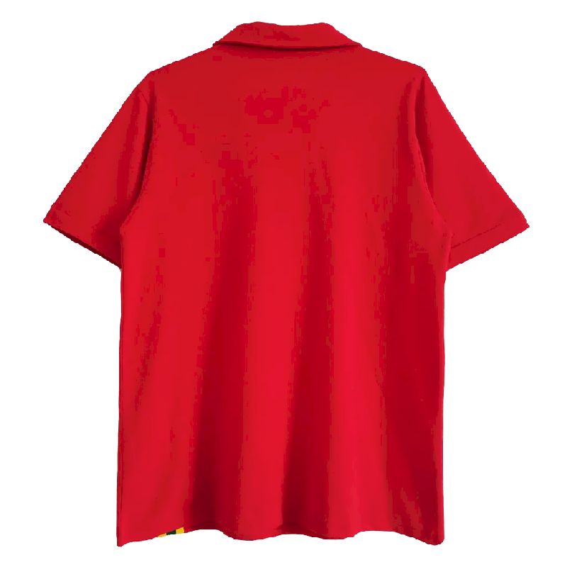 Retro Gales 1976/79 Jersey